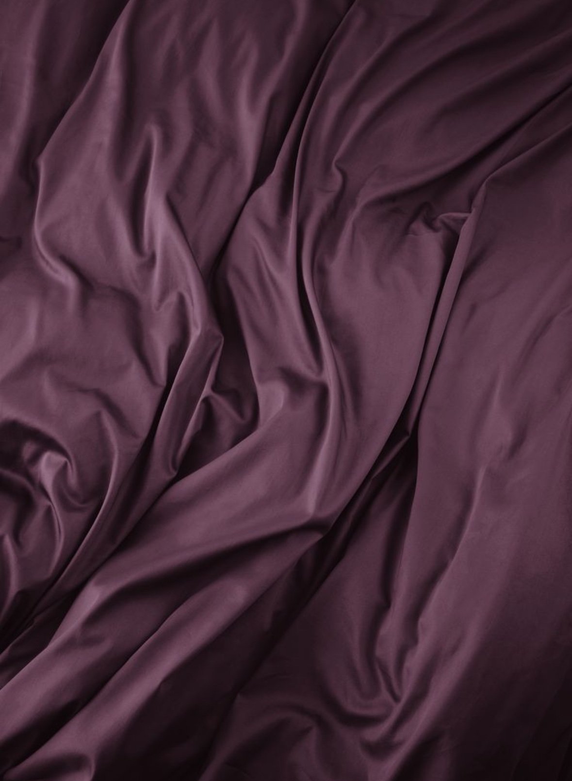 Plum beige 6 pcs Luxury Complete Bedding Set | Bedsheet, Comforter and Cushion Cover - Image 8